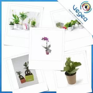 Aperçu de produits de type Plante publicitaire personnalisé