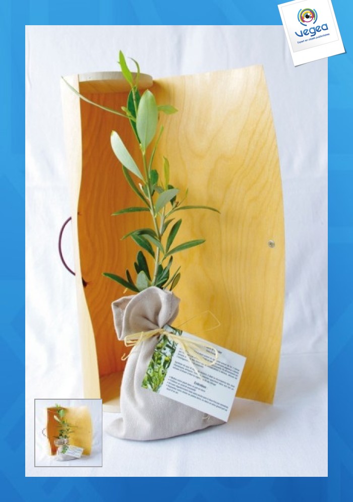 Le plant d'arbre personnalisé en tube bois - prestige