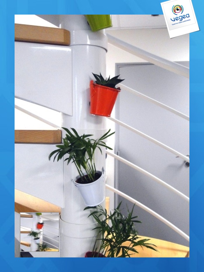 Pot en zinc aimanté avec plante dépolluante