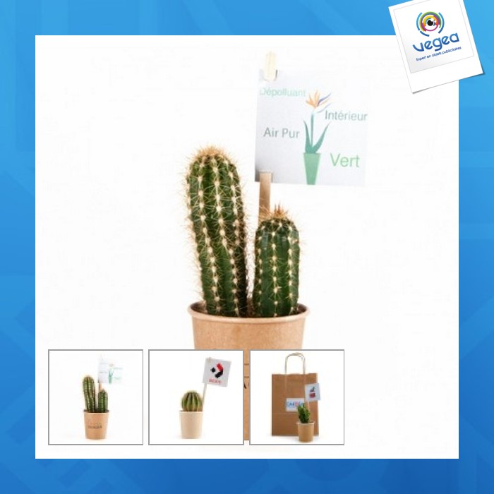 Cactus en gobelet carton personnalisable