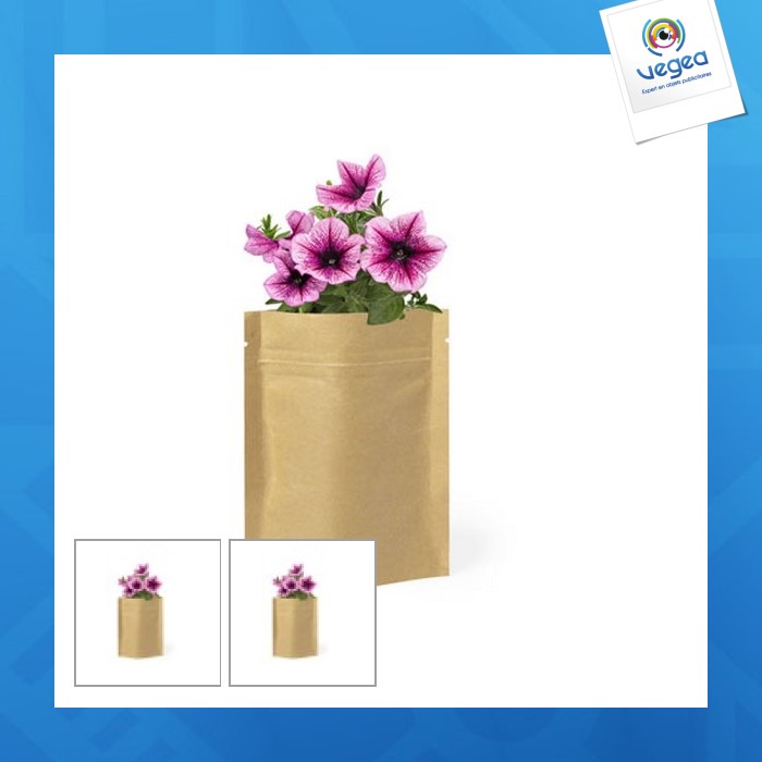 Pot de fleurs - pétunia