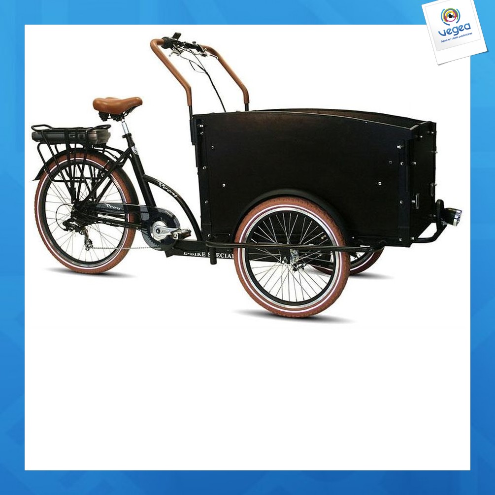 Triporteur électrique troy 26