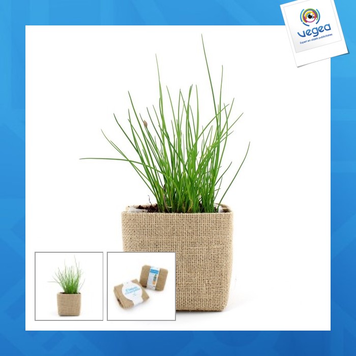 Kit pocket coco pot jute