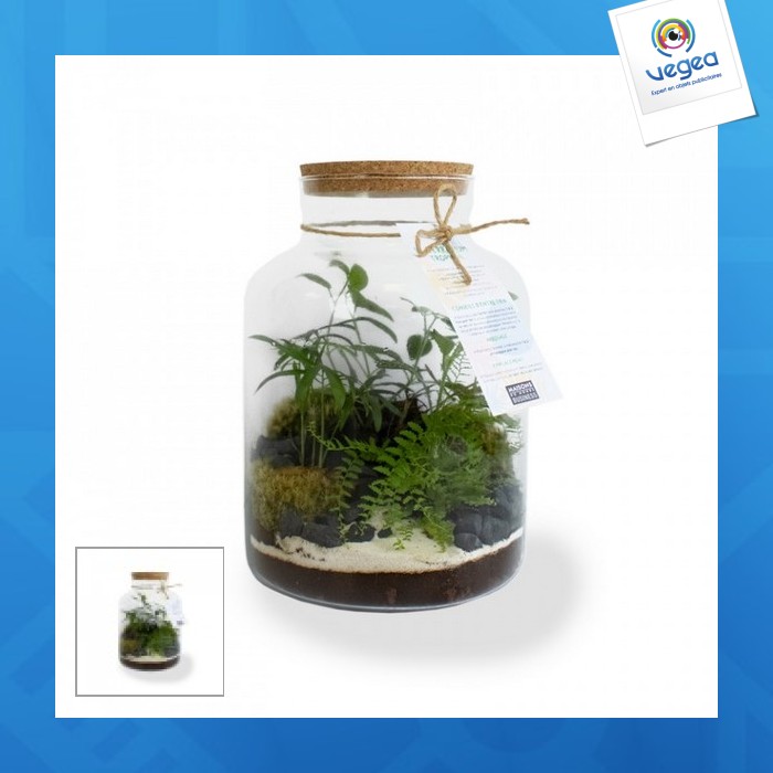 Grand terrarium publicitaire tropical