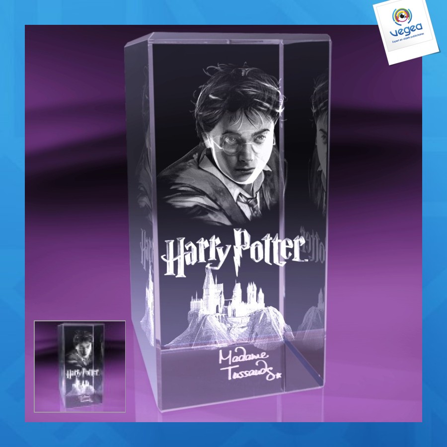 Trophée personnalisé rectangulaire 14x30cm