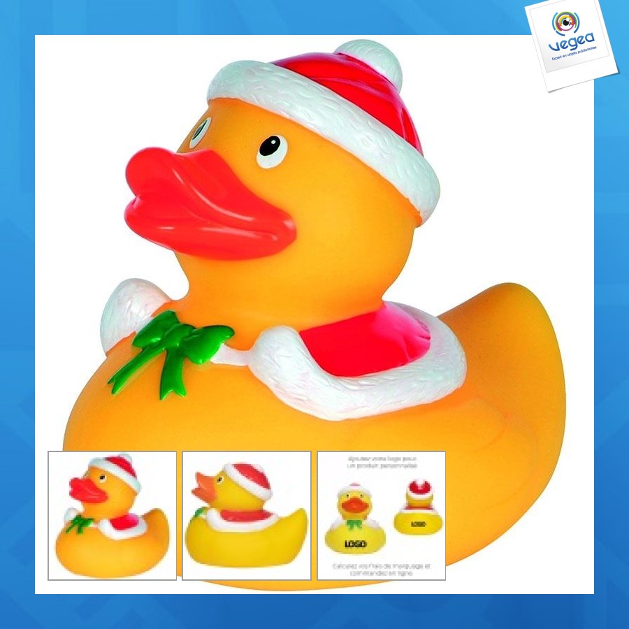 Canard hiver s