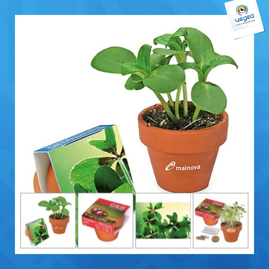 Pot en terre cuite - terre cuite - bulbes de trèfle à 4 feuilles promotionnel