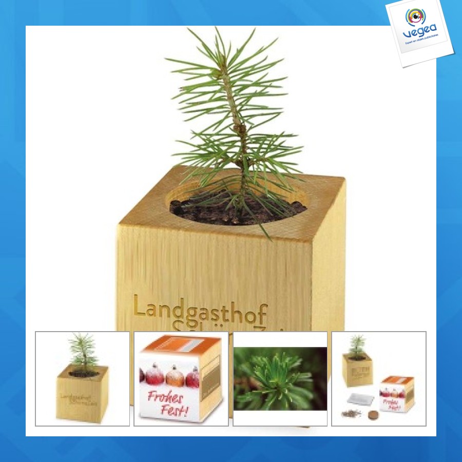 Pot cube bois mini de noël - epicéa - epicéa