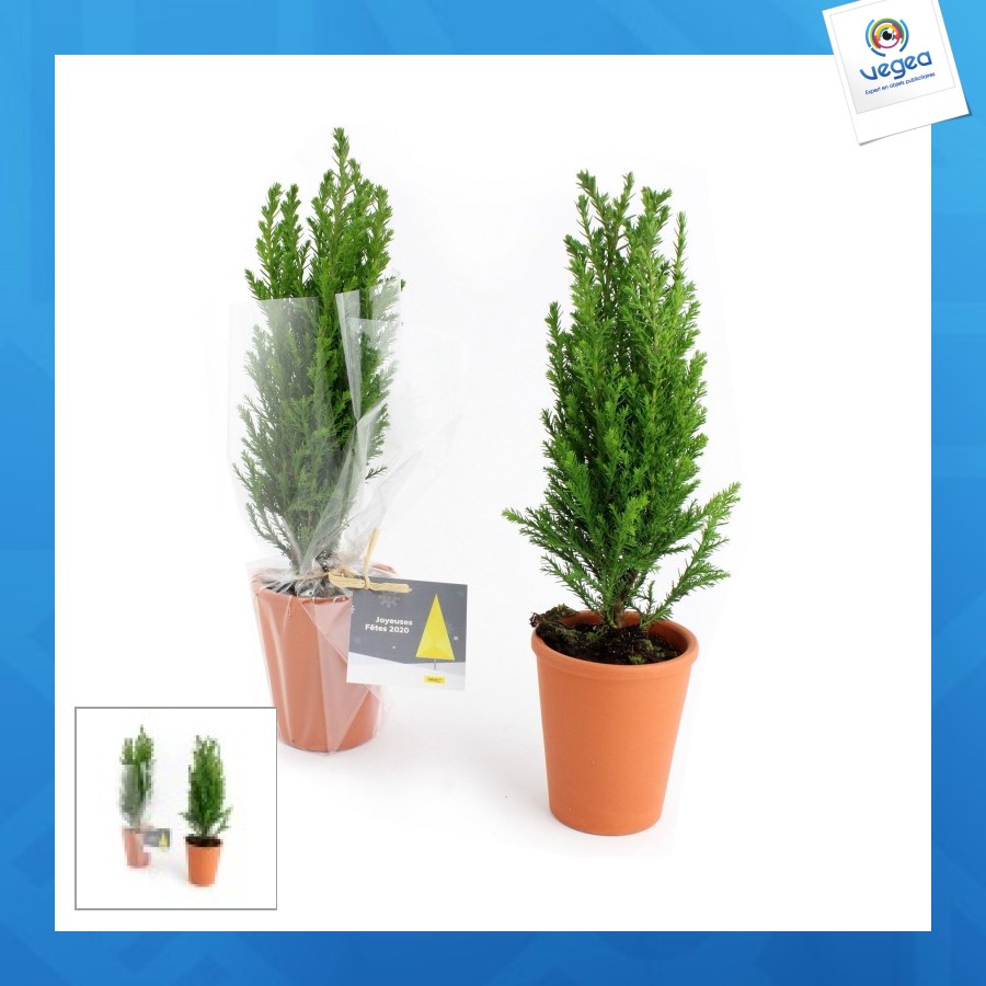 Mini sapin personnalisable en pot terre cuite 7cm