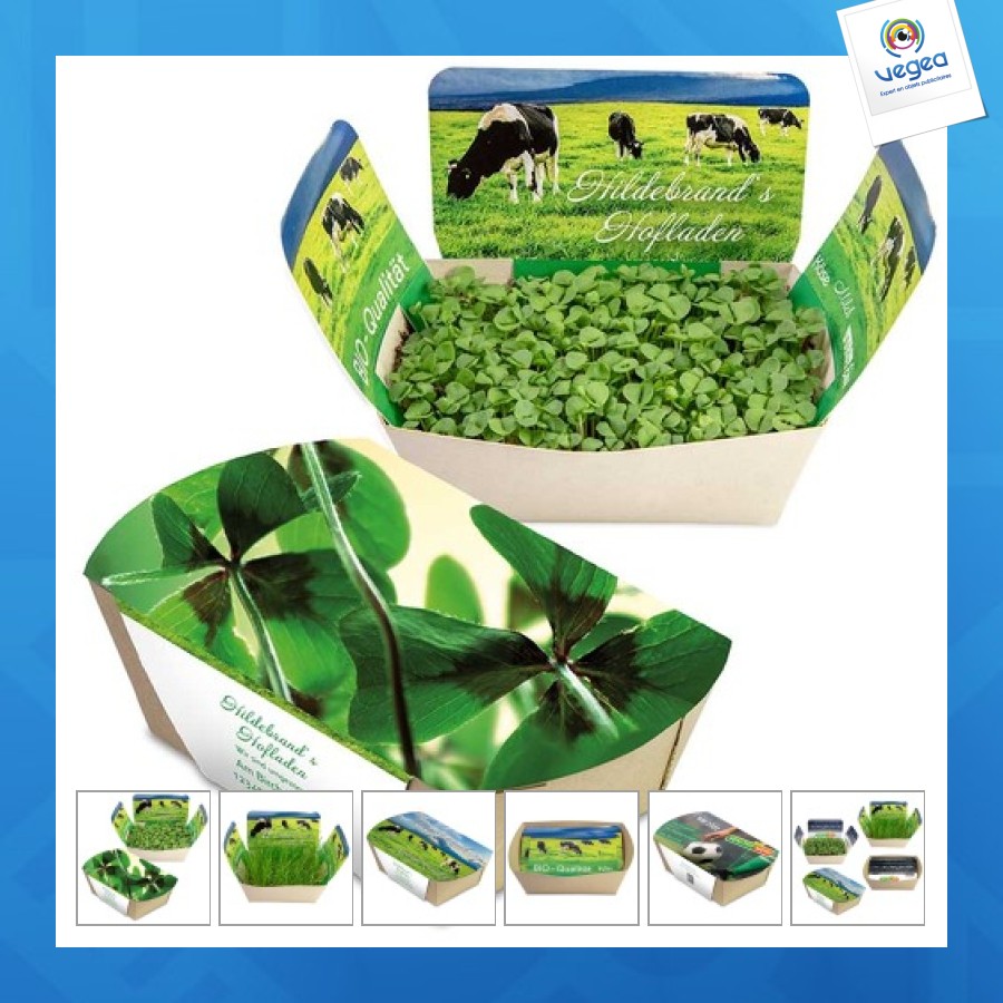 Jardinodrome avec graines - bulbes de trèfle à 4 feuilles personnalisable