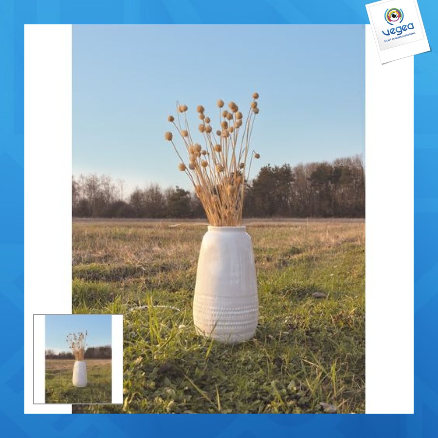 Bouquet promotionnel de chardons seches Bouquet promotionnel de chardons seches