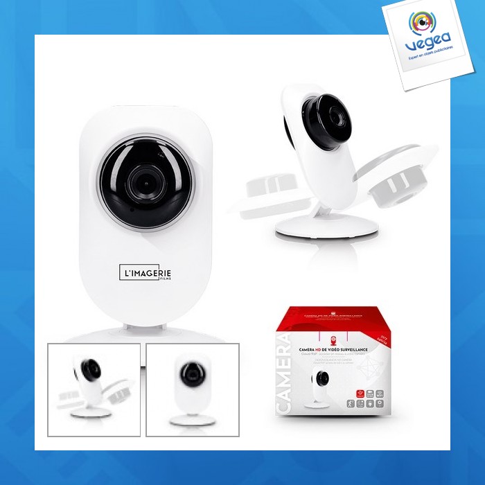 Domestic surveillance camera 