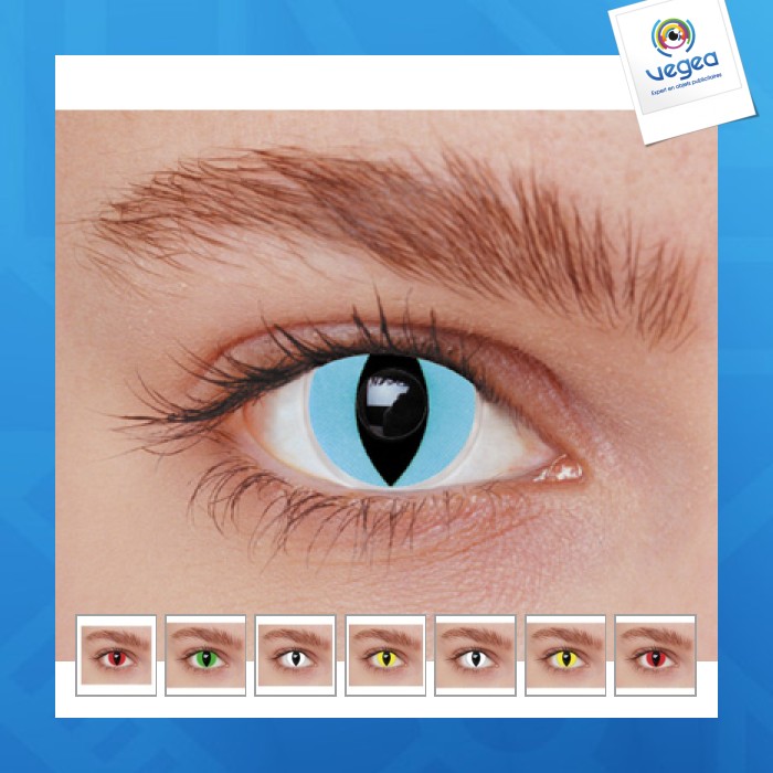 Lentilles chat publicitaire blanc Lentilles chat publicitaire blanc