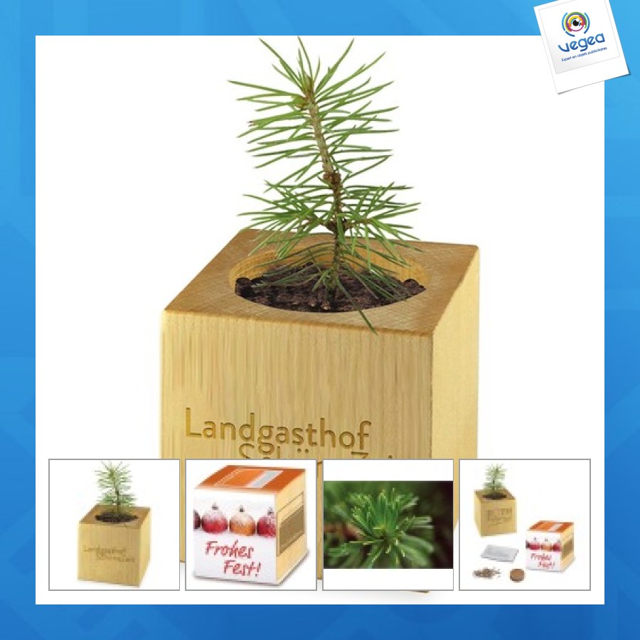 Pot cube bois mini de noël - epicéa - epicéa