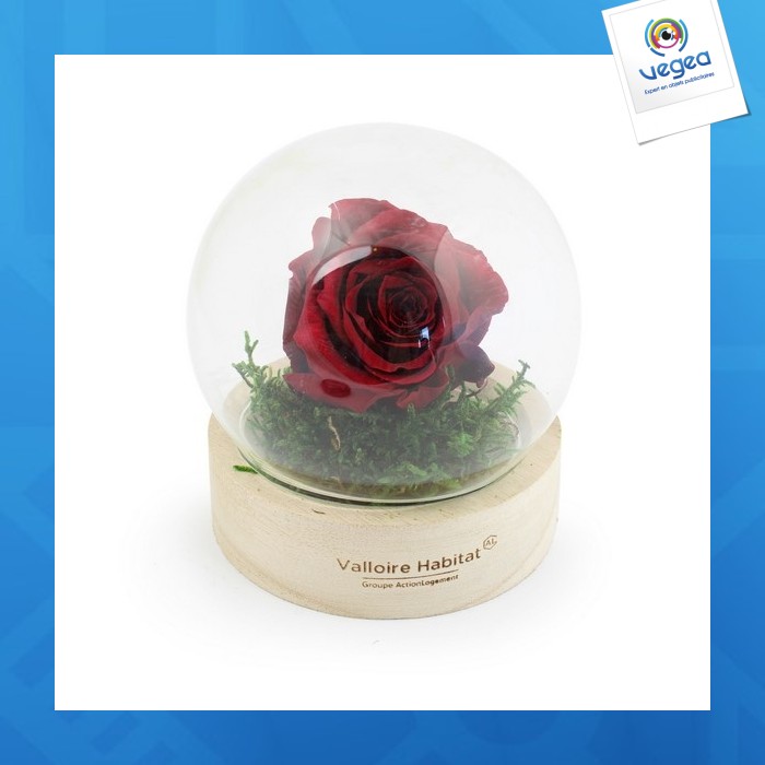 Rose éternelle promotionnelle Rose éternelle promotionnelle