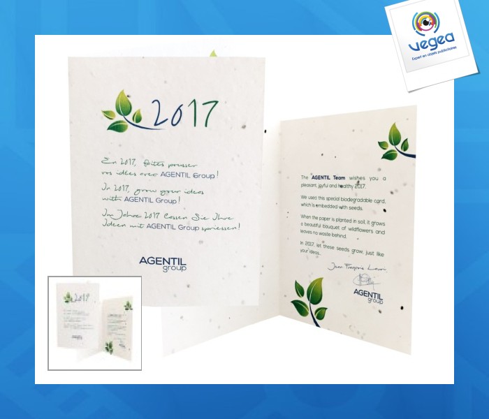 Tarjeta de plantación biodegradable - 4 páginas de 200 gr. por ambas caras Objeto personalizado duradero y ecológico