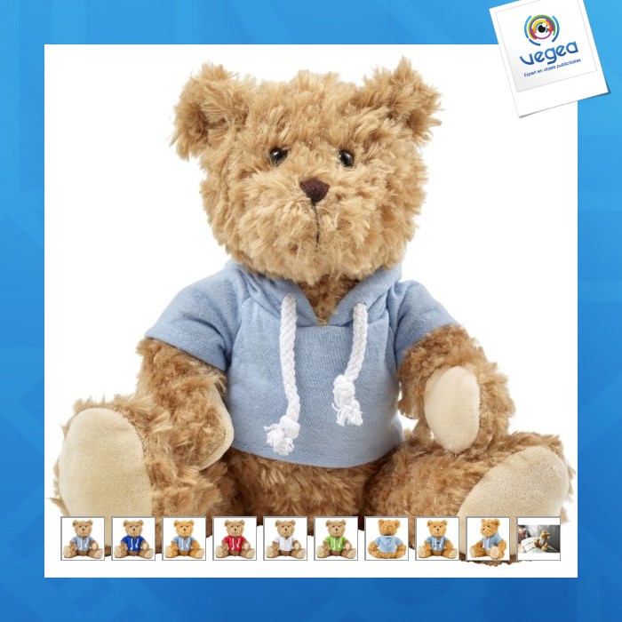 Teddy bear with hoodie teddy bear