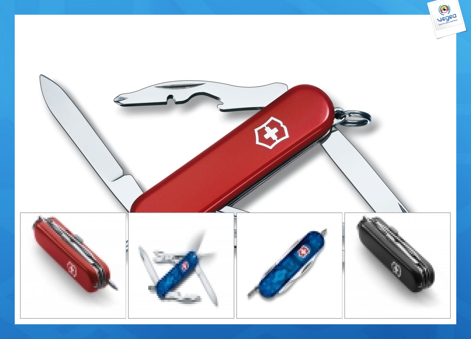 Victorinox Small Swiss Army Knife